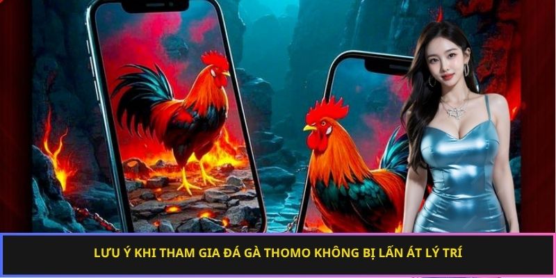 Lưu ý khi tham gia đá gà Thomo không bị lấn át lý trí